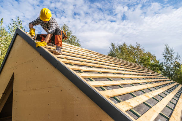 Best Roof Gutter Cleaning  in Brookings, SD