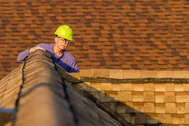 Best Residential Roofing Contractor  in Brookings, SD